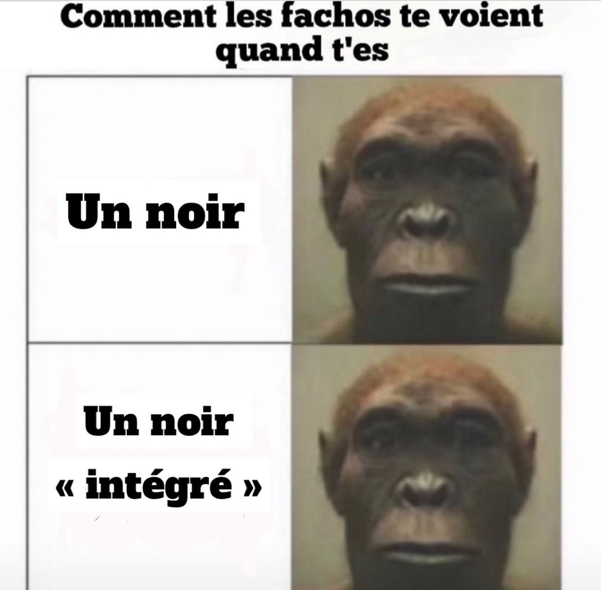 Diaby ⚔️ tweet media