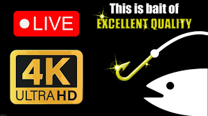 Frubilla tweet media