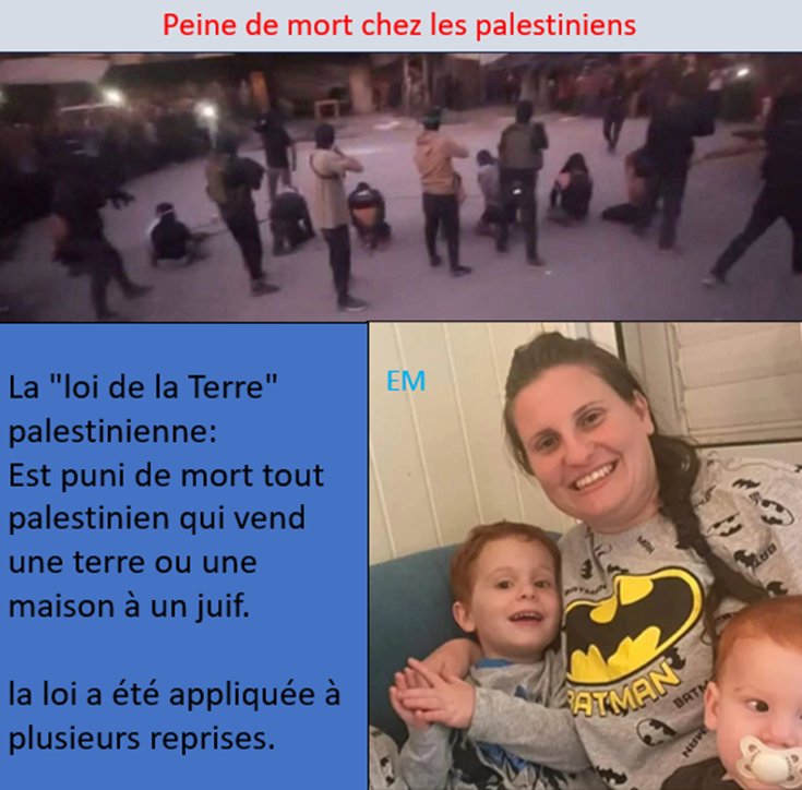 Elie Maimon 🇮🇱 🇫🇷 tweet media