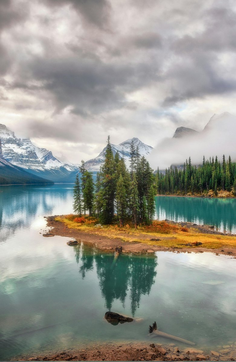 emily_anna1995's tweet image. Nature never disappoints. 🌿
#nature