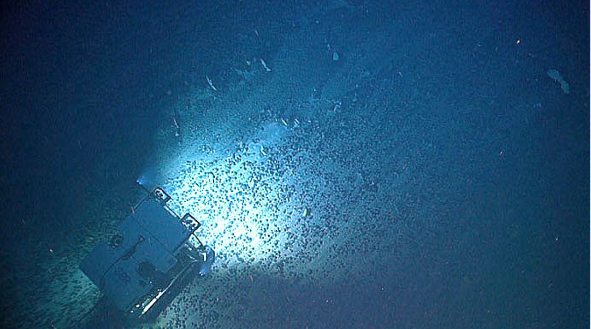 CILDialogues tweet media