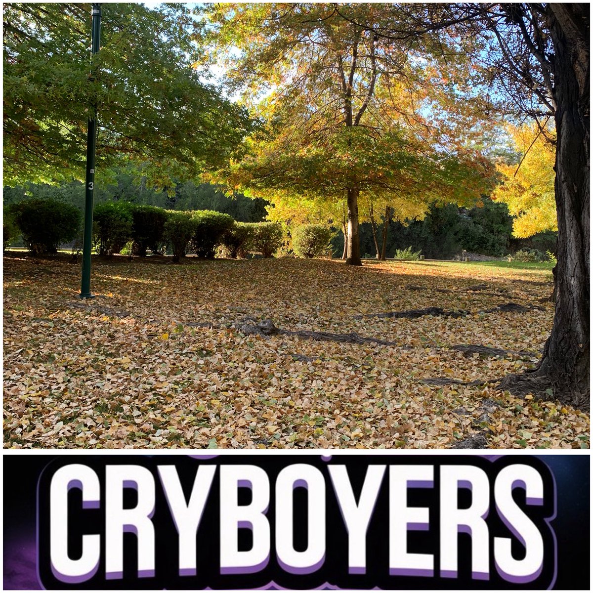 Alejandra Calderon tweet media