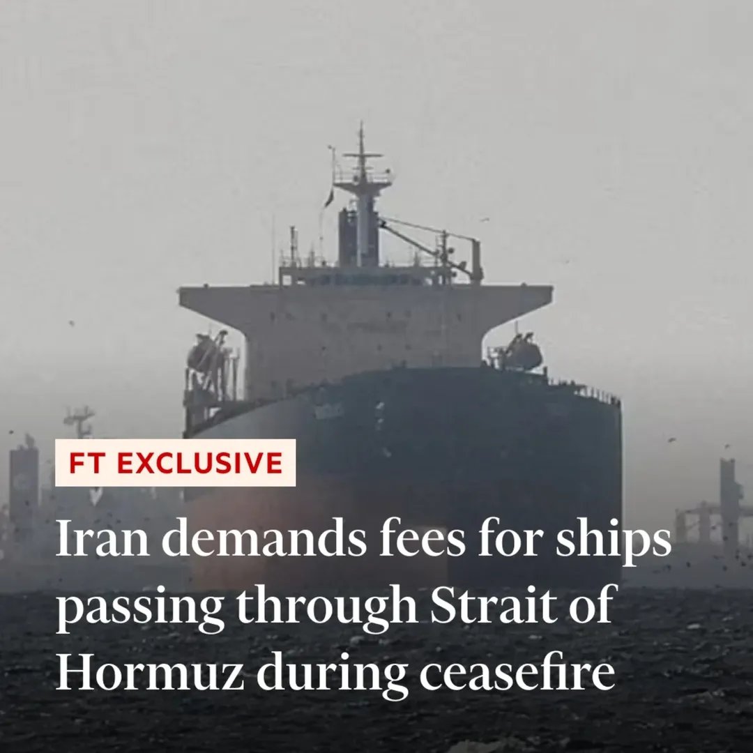 ZuritaCarpio tweet media