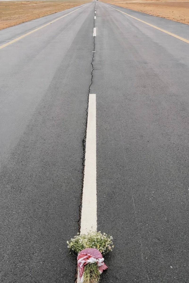 لقى ‏𓅓 tweet media