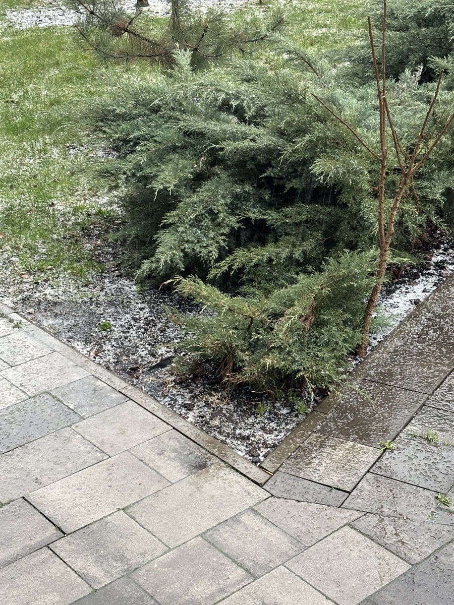 Angelica Shalagina🇺🇦 tweet media