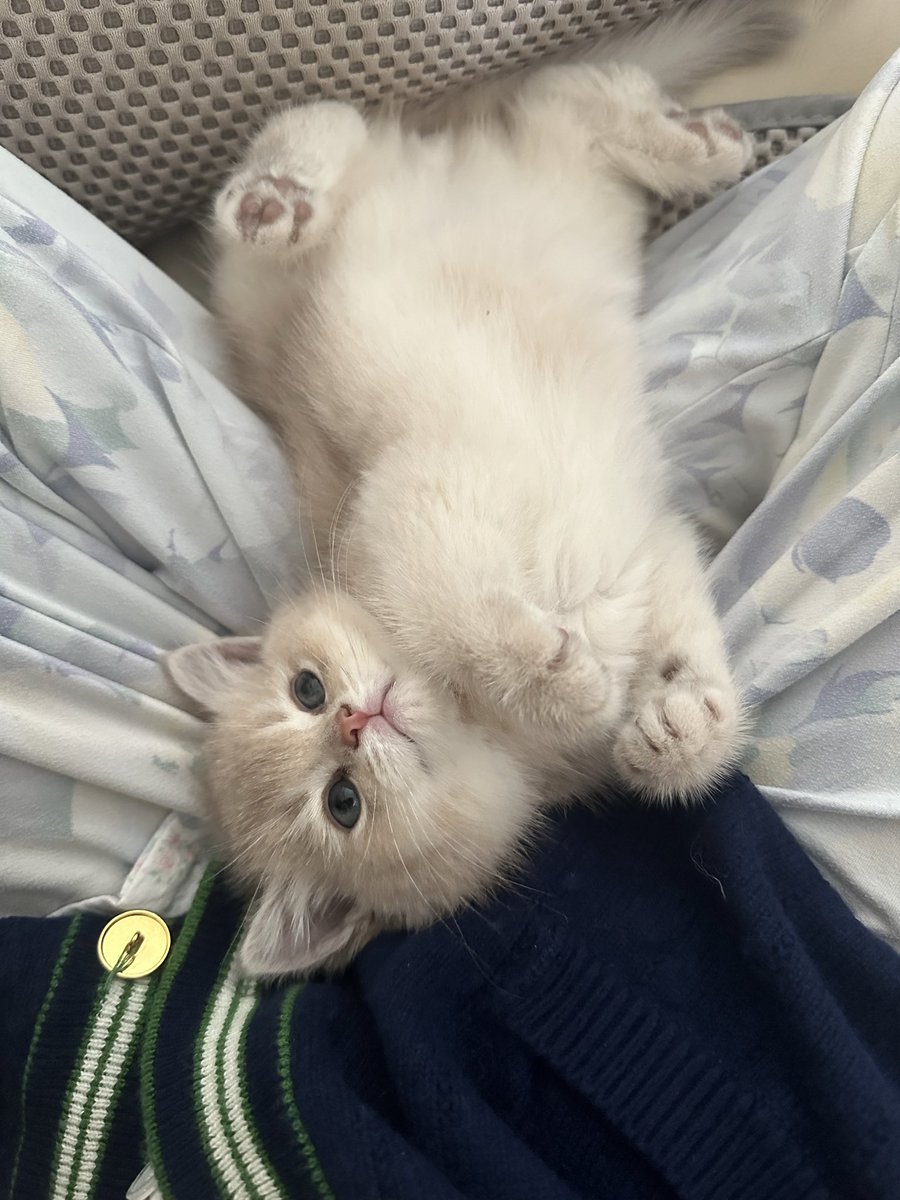 氢氧化钙 tweet media