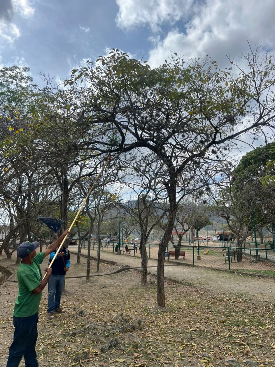 Darwin González tweet media