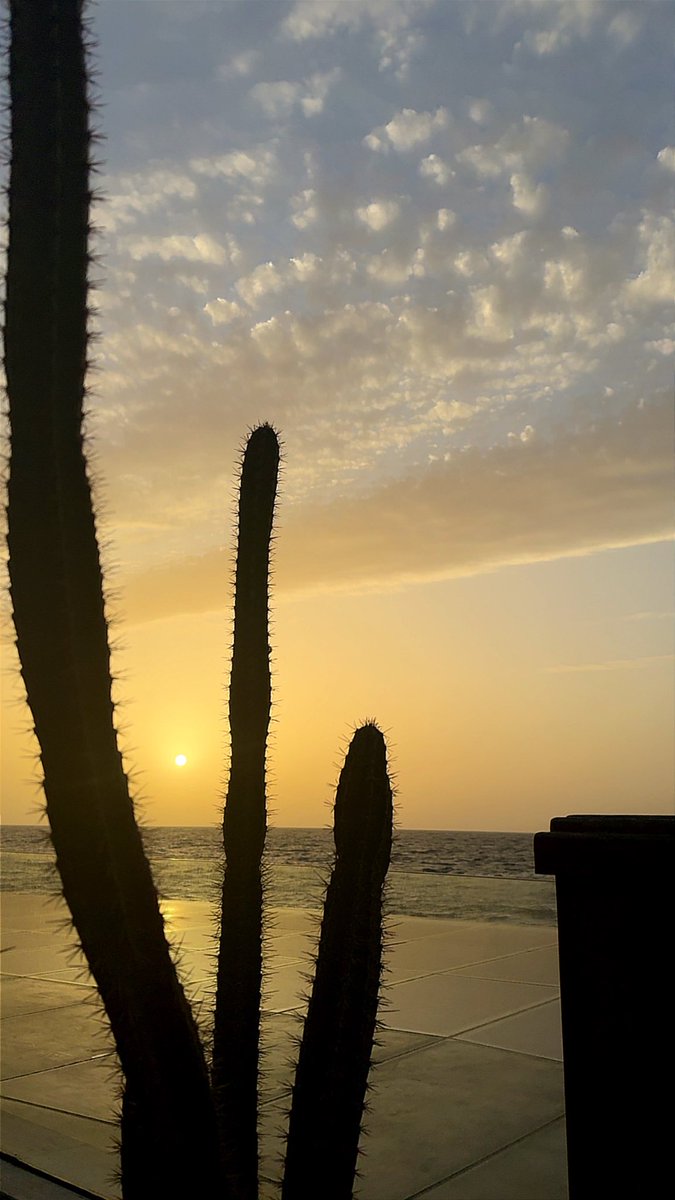 د. الأمل العميري tweet media