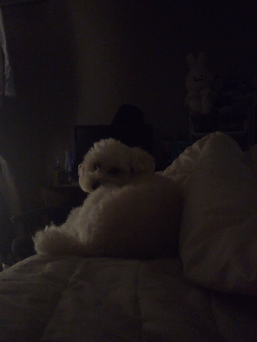 출소자 tweet media