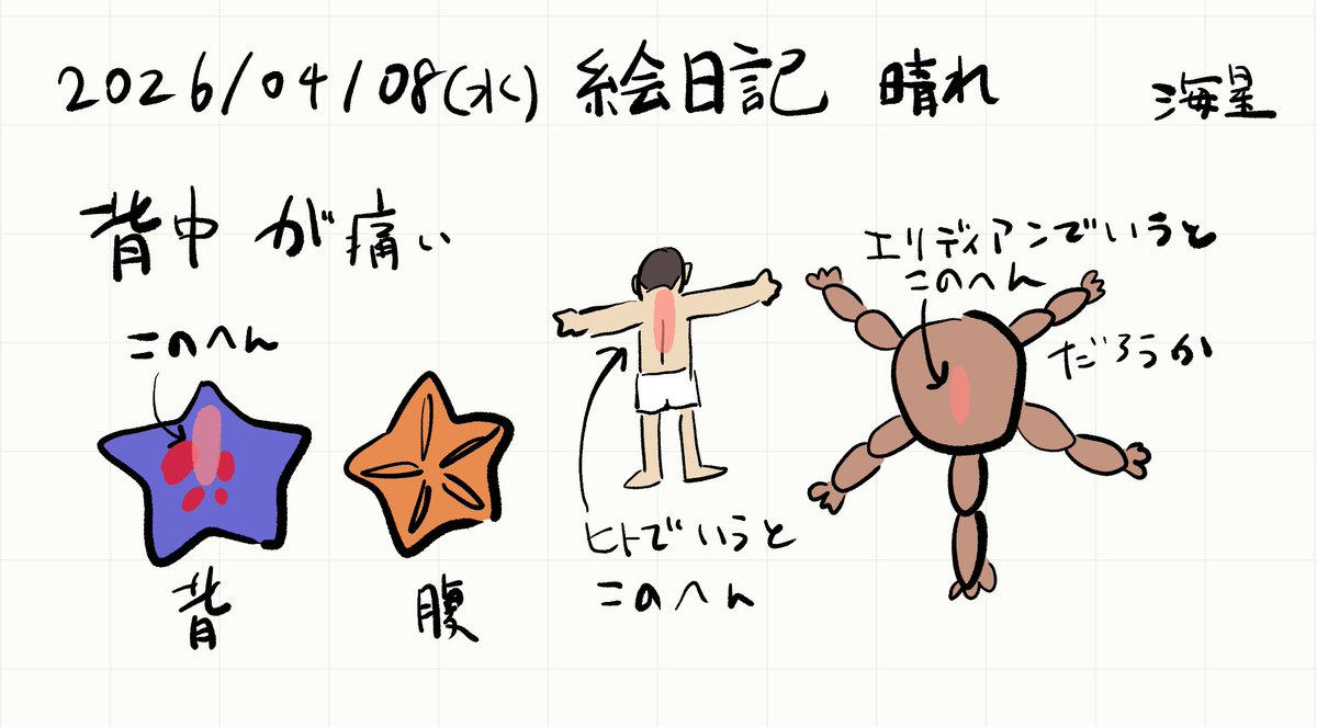 海星🍵3/28 D06 tweet media