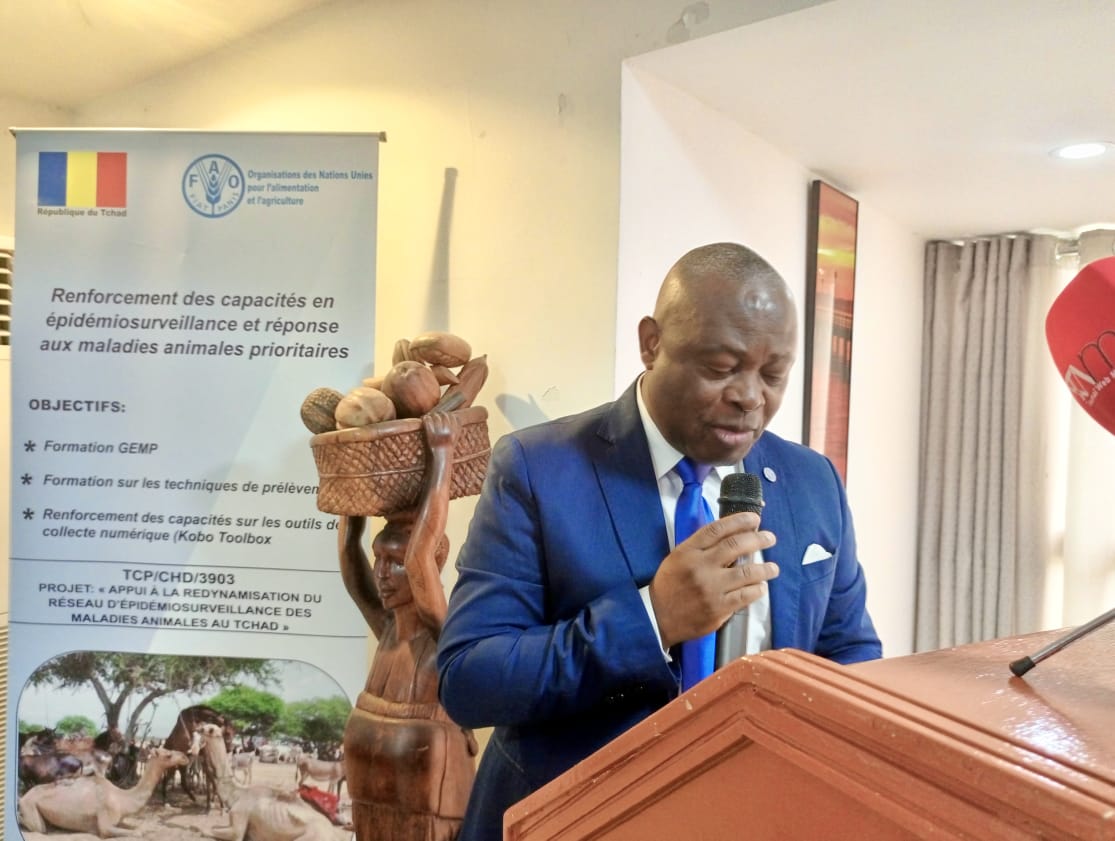 FaoTchad's tweet photo. 📢 Tchad 🇹🇩 | Lancement de l’atelier national de priorisation des zoonoses 08/04/2026 sous la haute présidence des Ministres de l’Élevage &amp; de la Santé, avec la FAO, #OMS &amp; #CDCAfrique 🤝
🎯 Objectif : prioriser les zoonoses clés via l’approche #OneHealth #Zoonoses #SantéPublique https://t.co/Wh7CLRfFMG