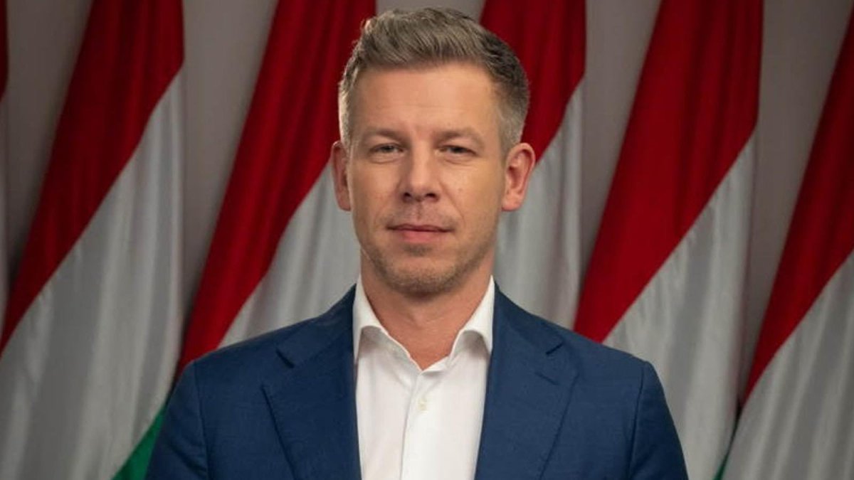 Elisa Mosini 🇪🇺🇮🇹 tweet media