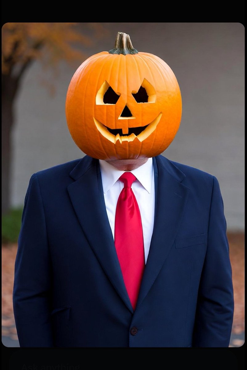 Cataclasher tweet media