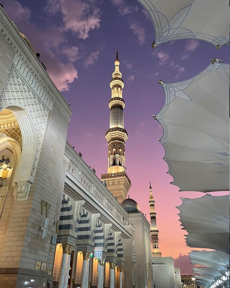 من رحاب #المسجد_النبوي_الشريف