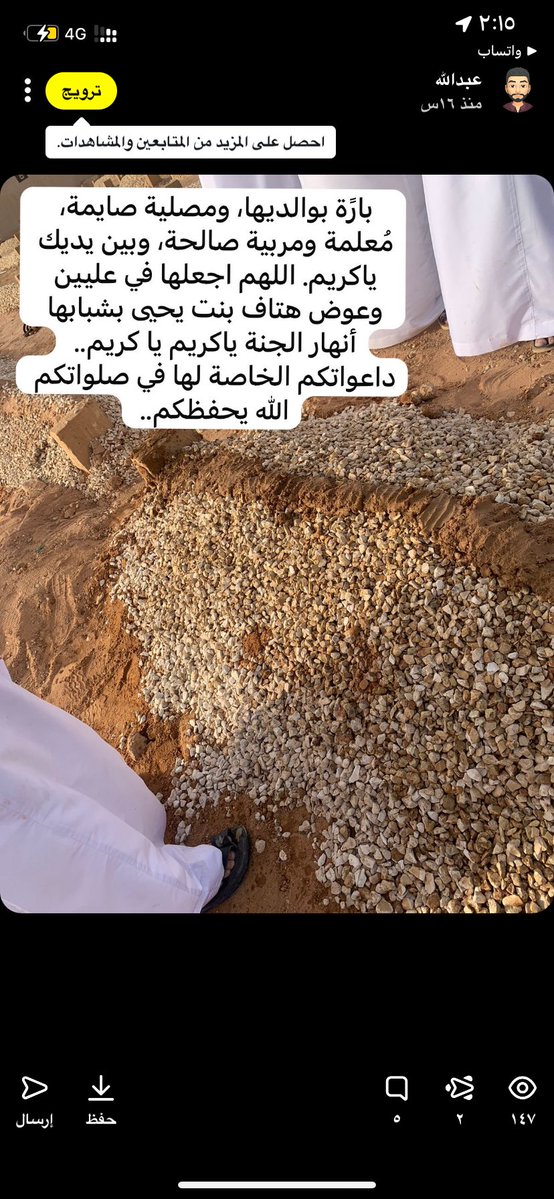 كرة السلة الامريكية tweet media