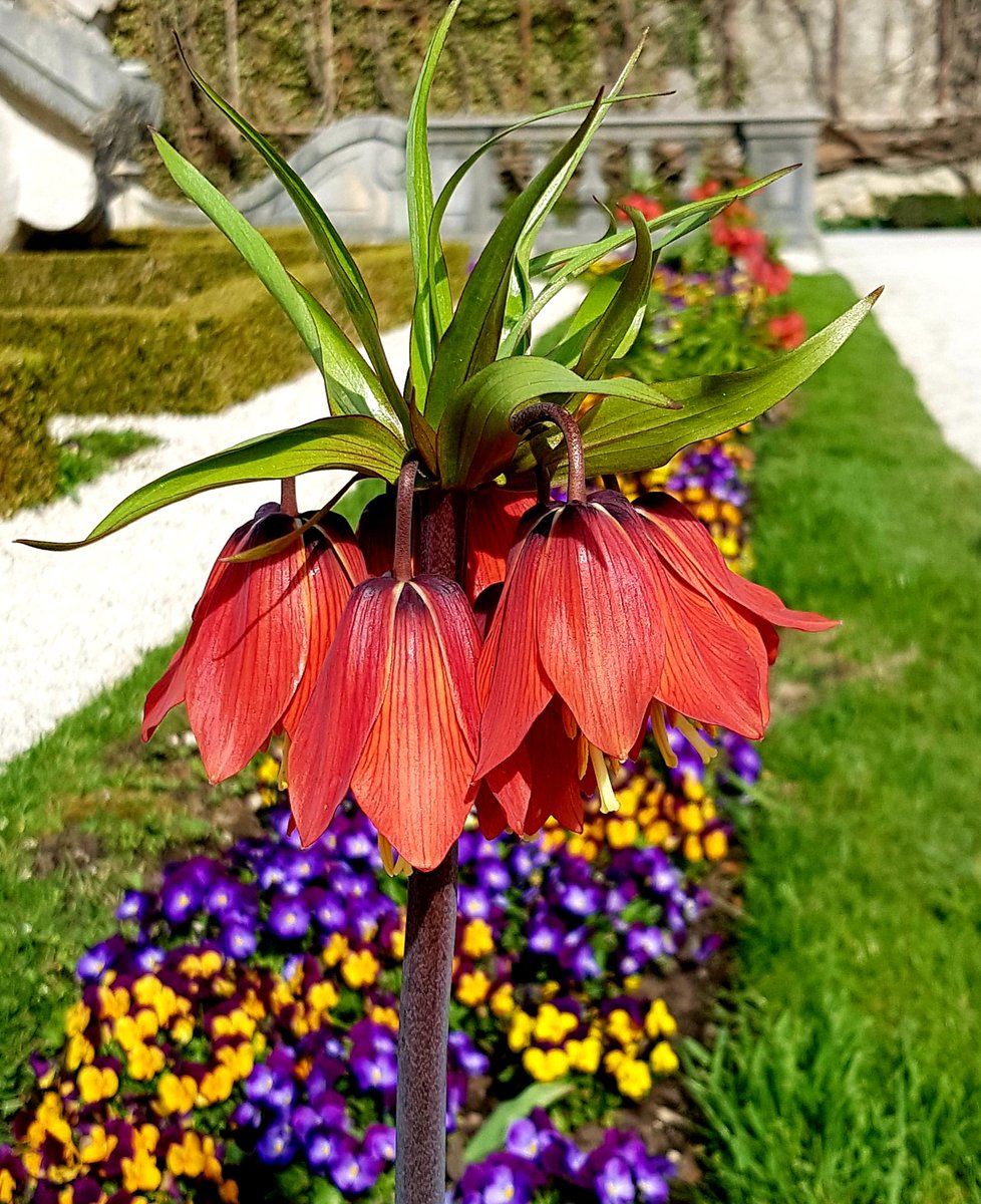 Im Mirabellgarten Salzburg 😊