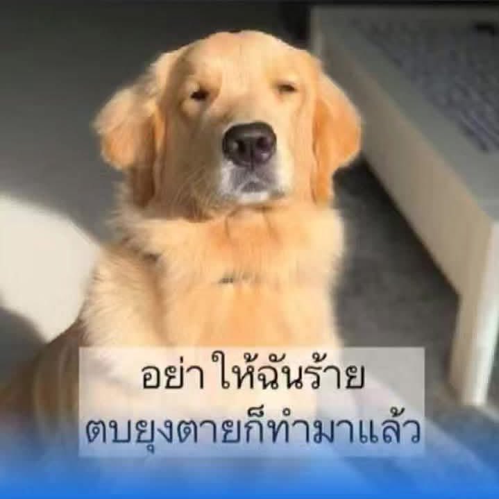 MARKJI'S STYLE tweet media