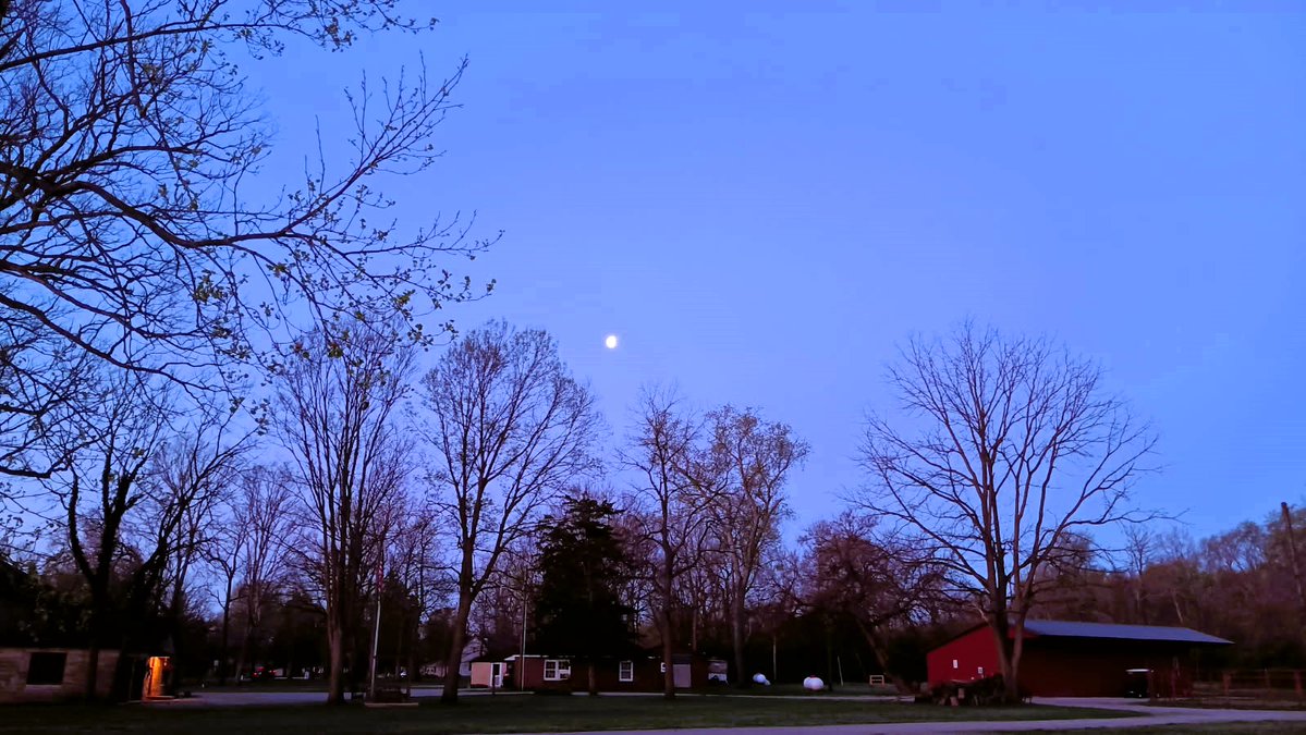 Mark Bennett tweet media