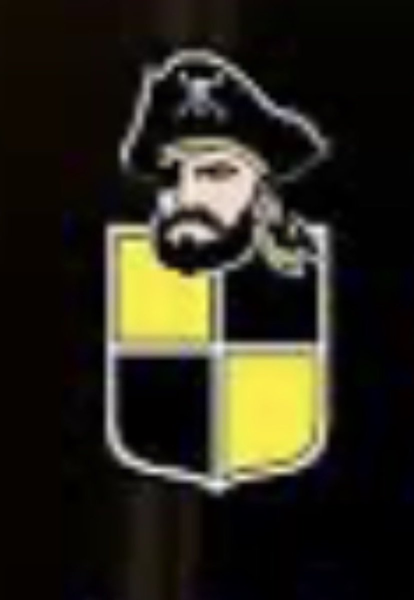 ana paula tweet media