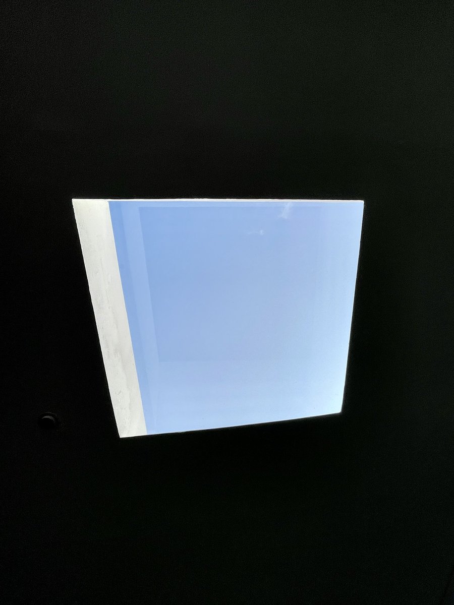 INES|國民不可愛 tweet media