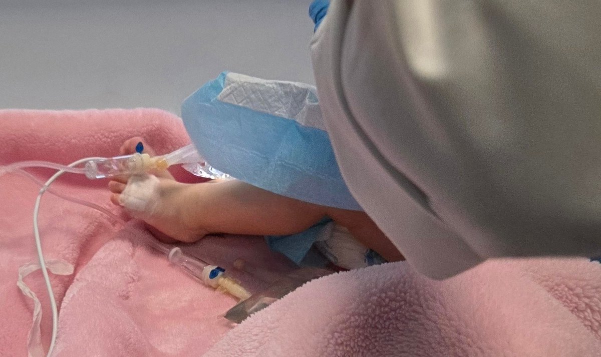 Hala Jaber tweet media