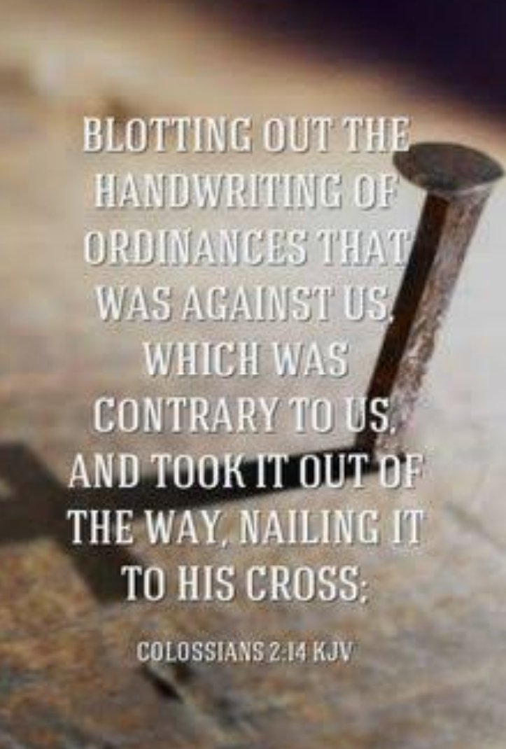 HisLifeNMe tweet media