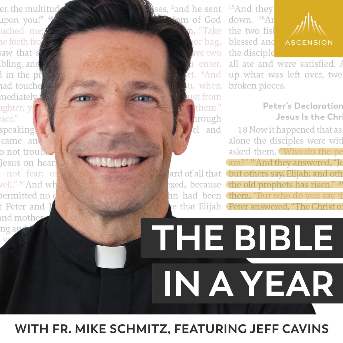 AscensionPress's tweet image. We’d definitely recommend The Bible in a Year podcast with @frmikeschmitz. It’s one of the best ways to actually read &amp;amp; understand Scripture and stay consistent.

We're praying for her journey 🙏