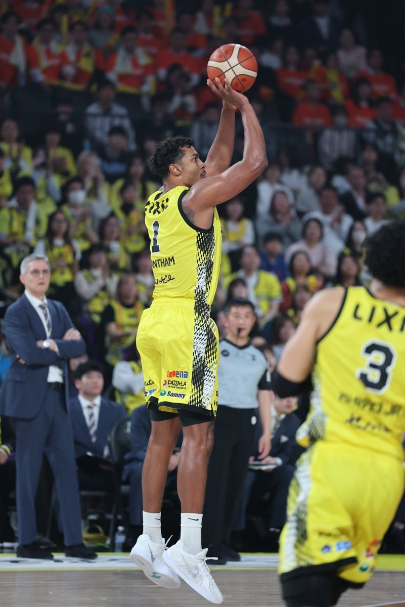 東京湾岸アンカナーレ tweet media