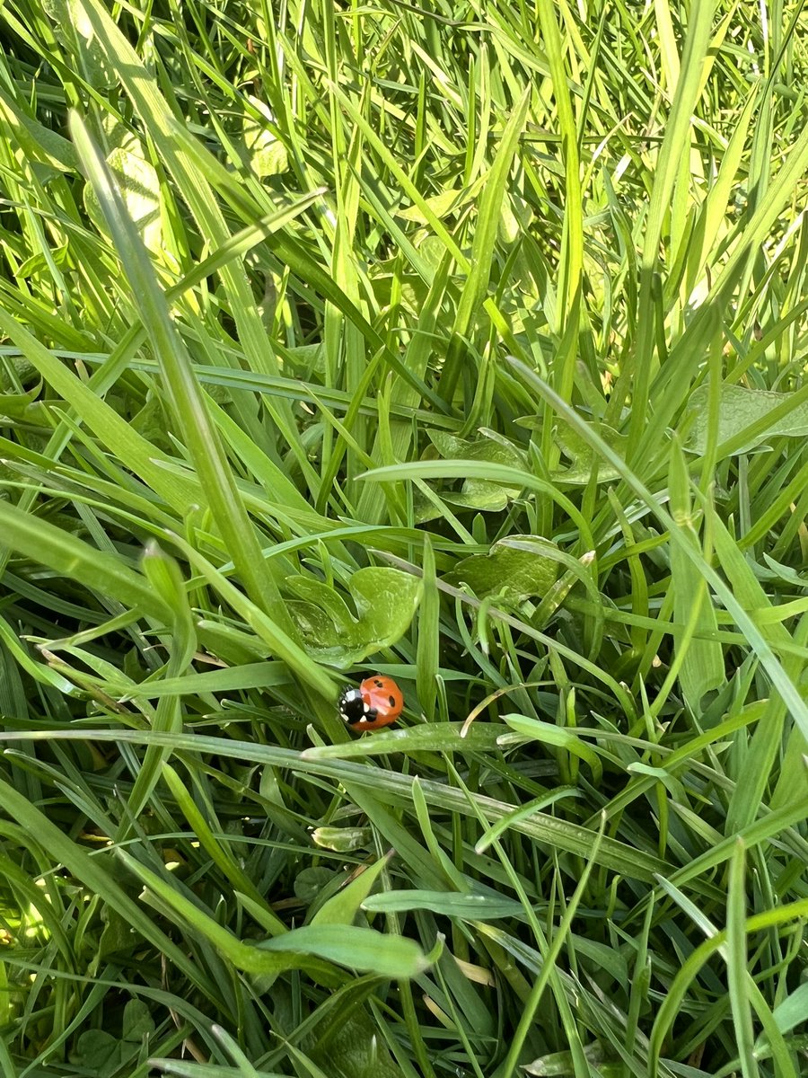 BHNFT_SLT's tweet photo. SLT spotted outside…in actual sunshine… on a lunch break☀️😄
First proper dose of fresh air this year and spirits instantly lifted. A quick reset, and back to it feeling recharged🌿
A small moment, but an important one—looking after ourselves so we can keep looking after others https://t.co/ATs2nQ2Ajj