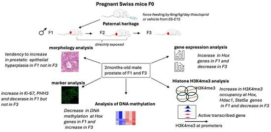 GMWatch's tweet image. Neonics are widely used #pesticides that have caused a catastrophic decrease in bee and bumblebee populations worldwide. In addition to insects, #neonics induce toxic effects in other species, including lizards, birds, and mammals. mdpi.com/1422-0067/27/7…