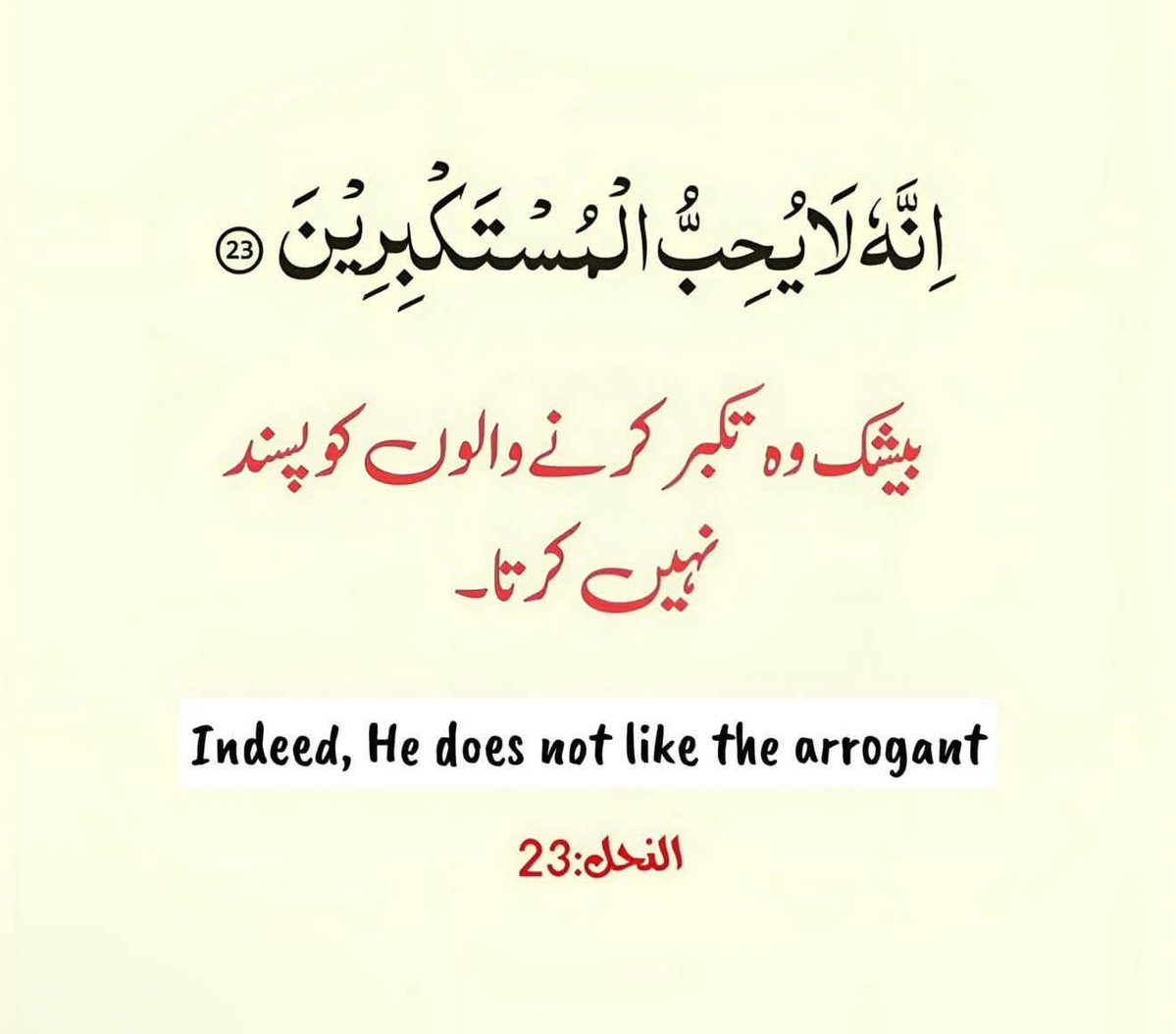 𝘾𝙖𝙥𝙩𝙖𝙞𝙣 🎓 tweet media