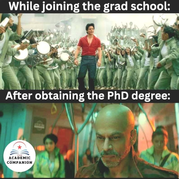 career_re's tweet image. #AcademicTwitter😂#phdvoice #PhDlife
