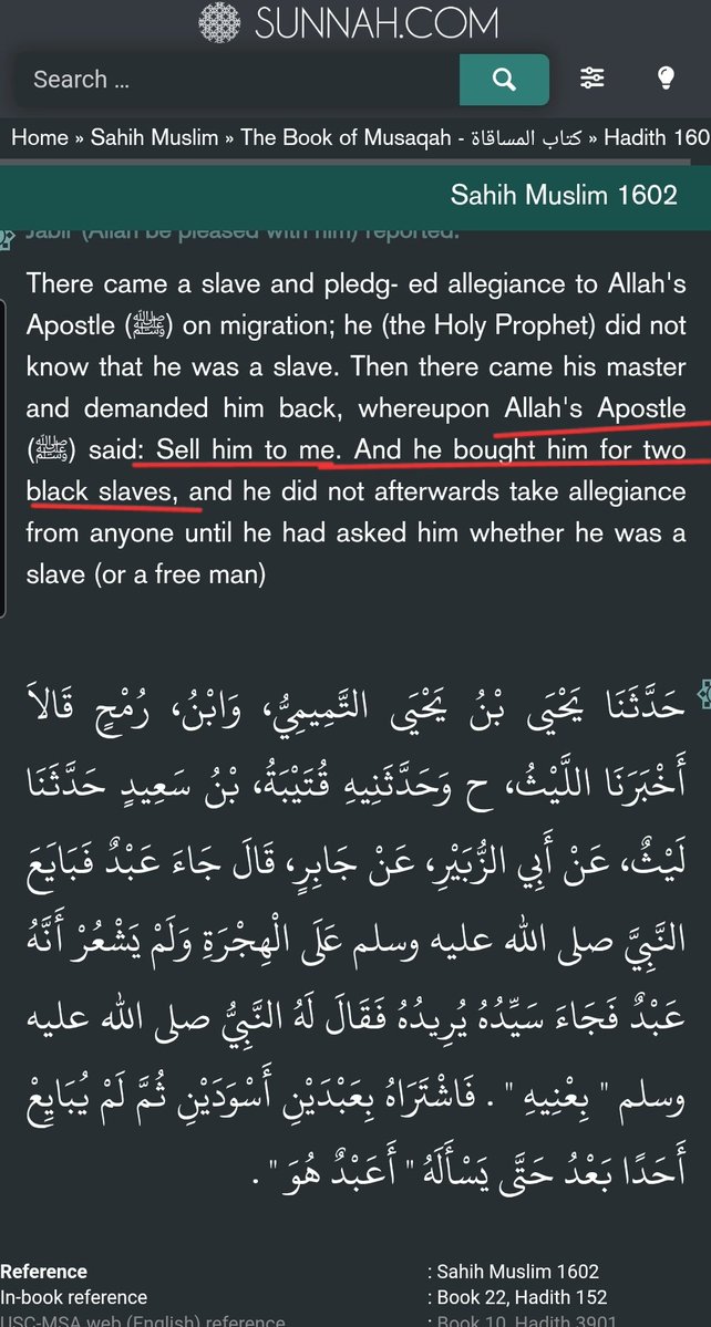 Realfemi tweet media