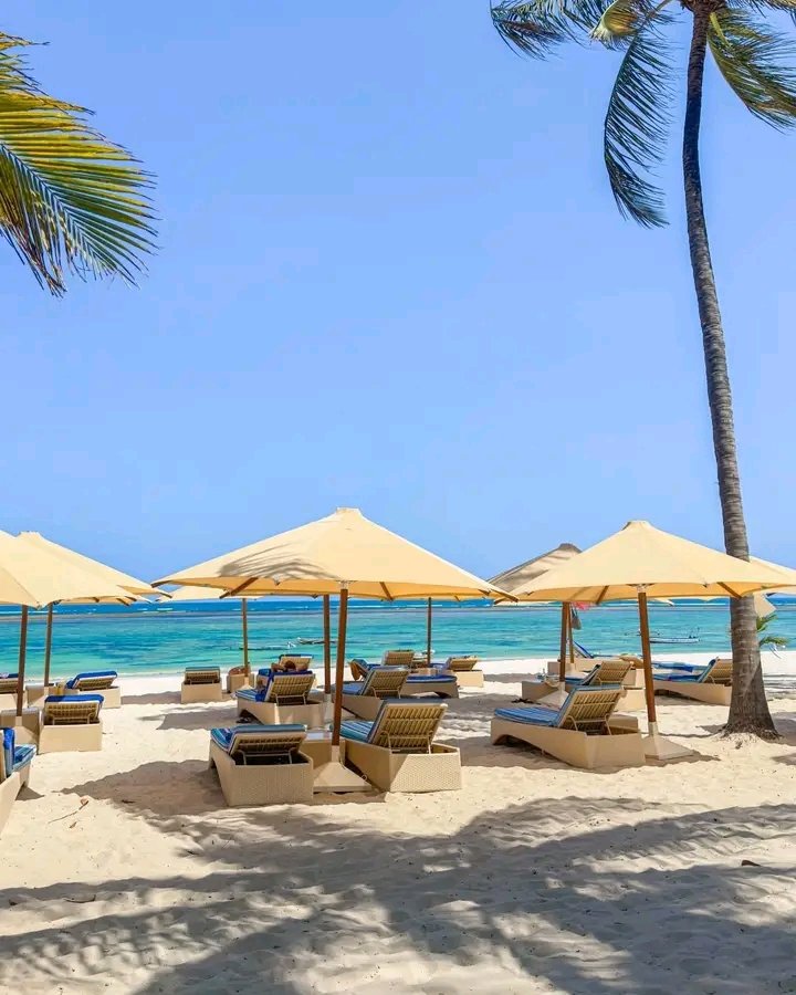 tukwa2's tweet image. From our beach to your heart 💛
Happy Easter Wednesday filled with joy, peace, and sunshine from Diani Beach.

📍 Southern Palm Beach Hotel 

#HappyEaster
#EasterSunday
#DianiCelebrations
#FamilyTime
#BeachEaster