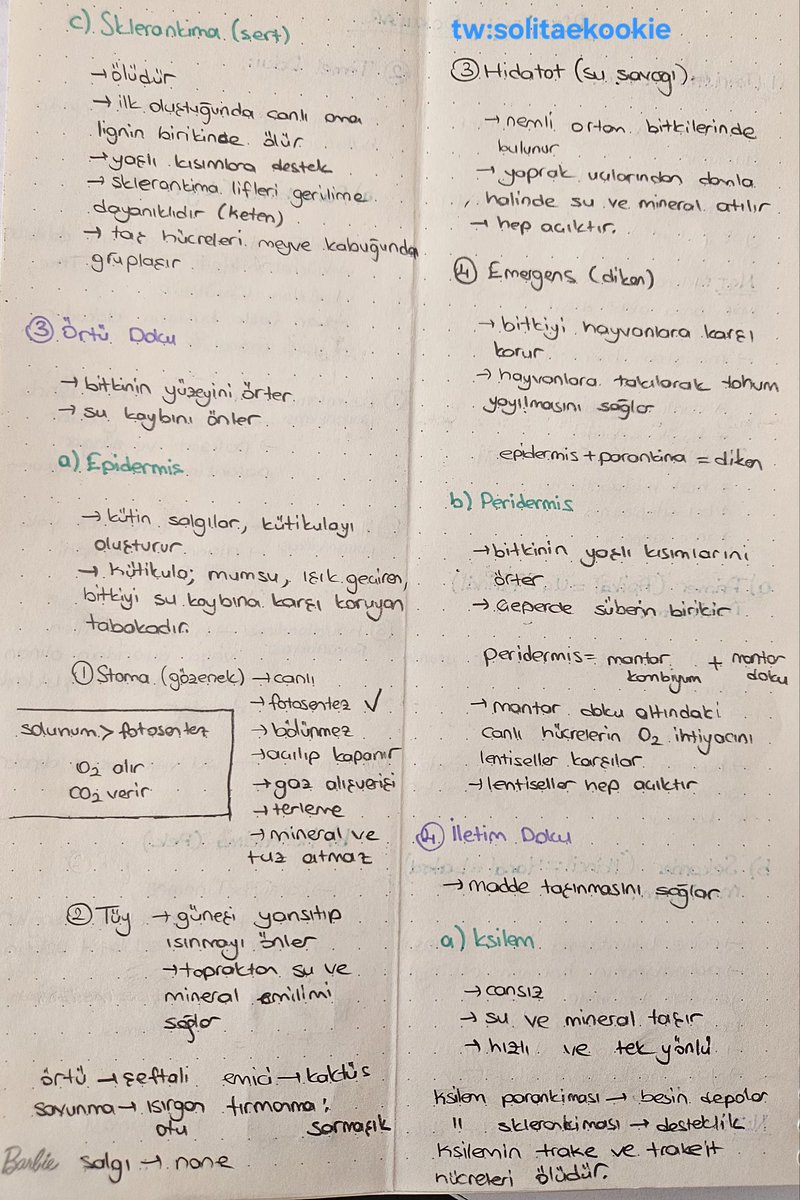 cherry ⊙⊝⊜ tweet media