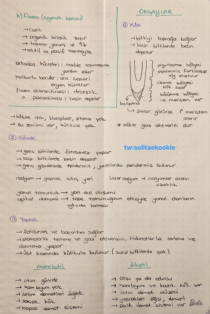 cherry ⊙⊝⊜ tweet media