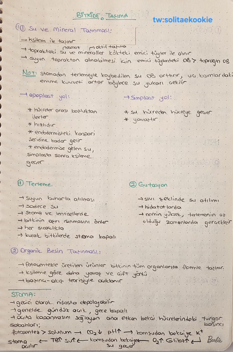 cherry ⊙⊝⊜ tweet media