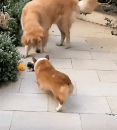 Servet Demir tweet media