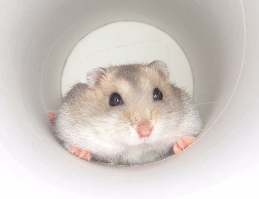 りなりな tweet media