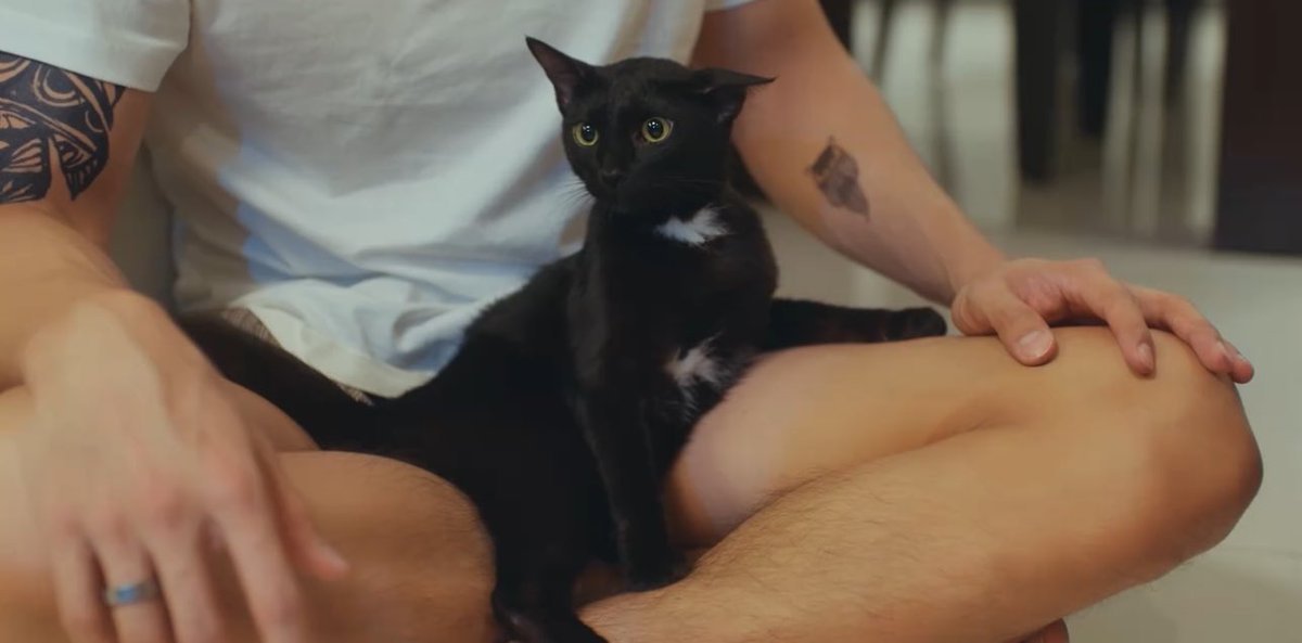 maviş˚˖𓍢ִ໋🦢˚ tweet media