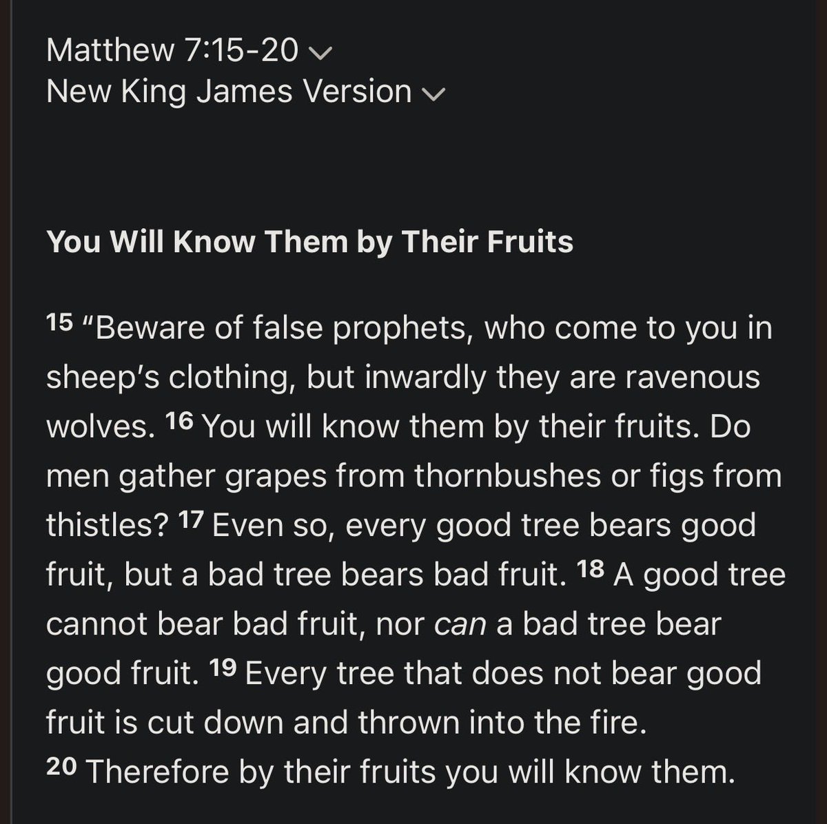 Magnolia Simms tweet media