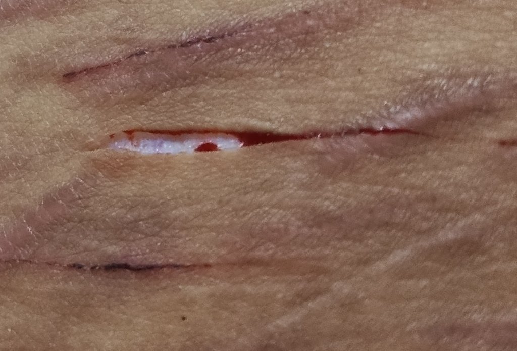 ˚⟡˖ ࣪ᴅᴇᴀᴅᴘᴏᴏʟ of shtwt˚⟡˖ ࣪(COMMISSION OPEN) tweet media