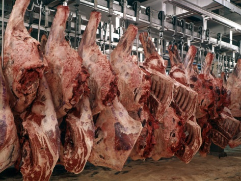 𝔟𝔬𝔱𝔱𝔩𝔢𝔡 𝔱𝔢𝔞𝔯𝔰 tweet media