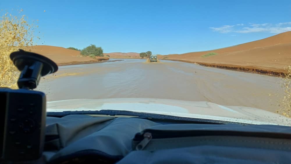 Gondwana-Lodges tweet media