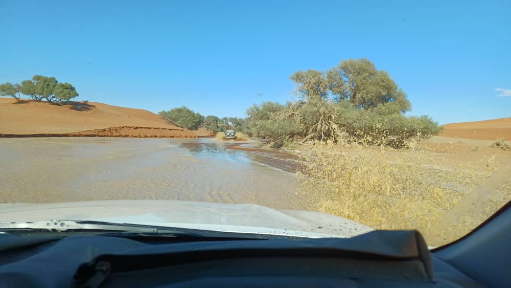 Gondwana-Lodges tweet media