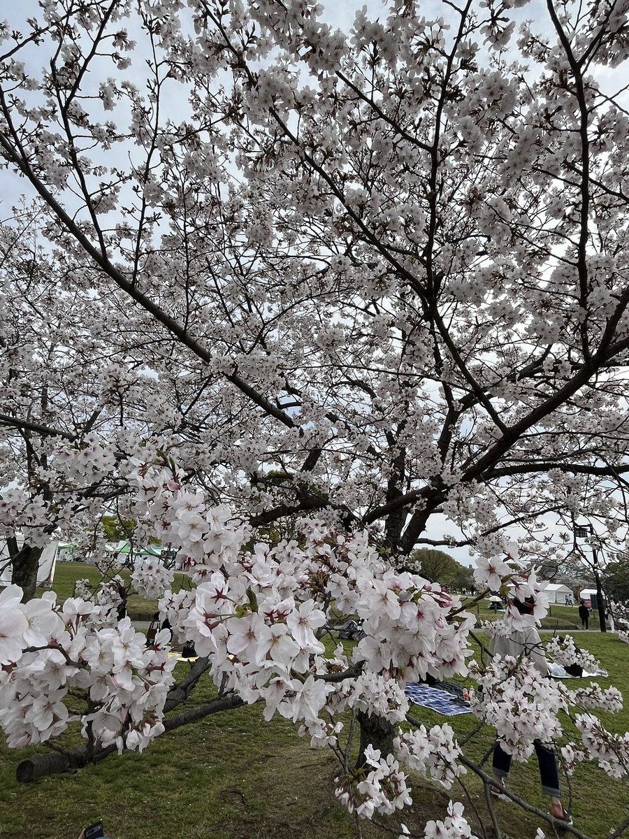 It’s been a while ☺️am sorry ~
長めのお休みを頂いてありがとうございました😊😊
リフレッシュして来ました❣️
明日から仕込頑張るね💪💪❤️❤️
4／１１の土曜日から通常営業です🈺☺️
ぜひご来店お待ちしております❣️

#4/11より営業#休暇ありがとう😊#とてもリフレッシュ