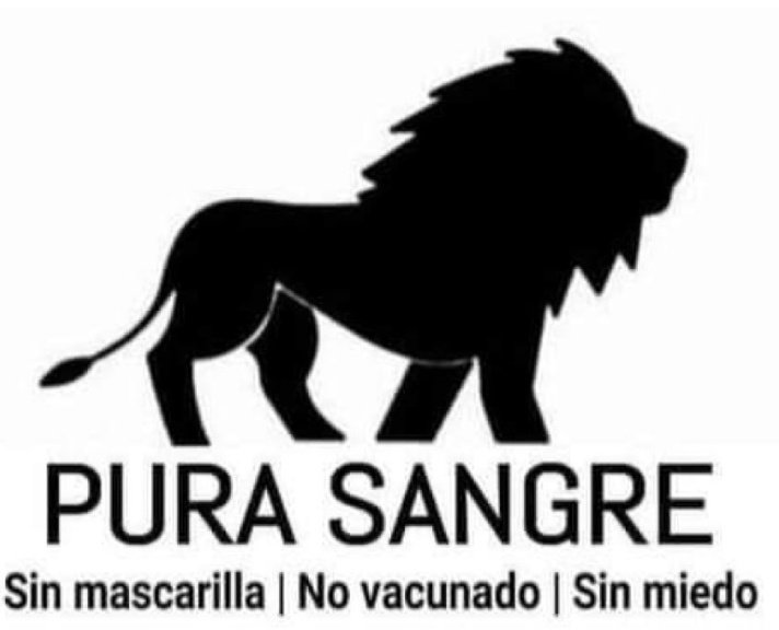 lenantes-magallanes 🇨🇱 tweet media