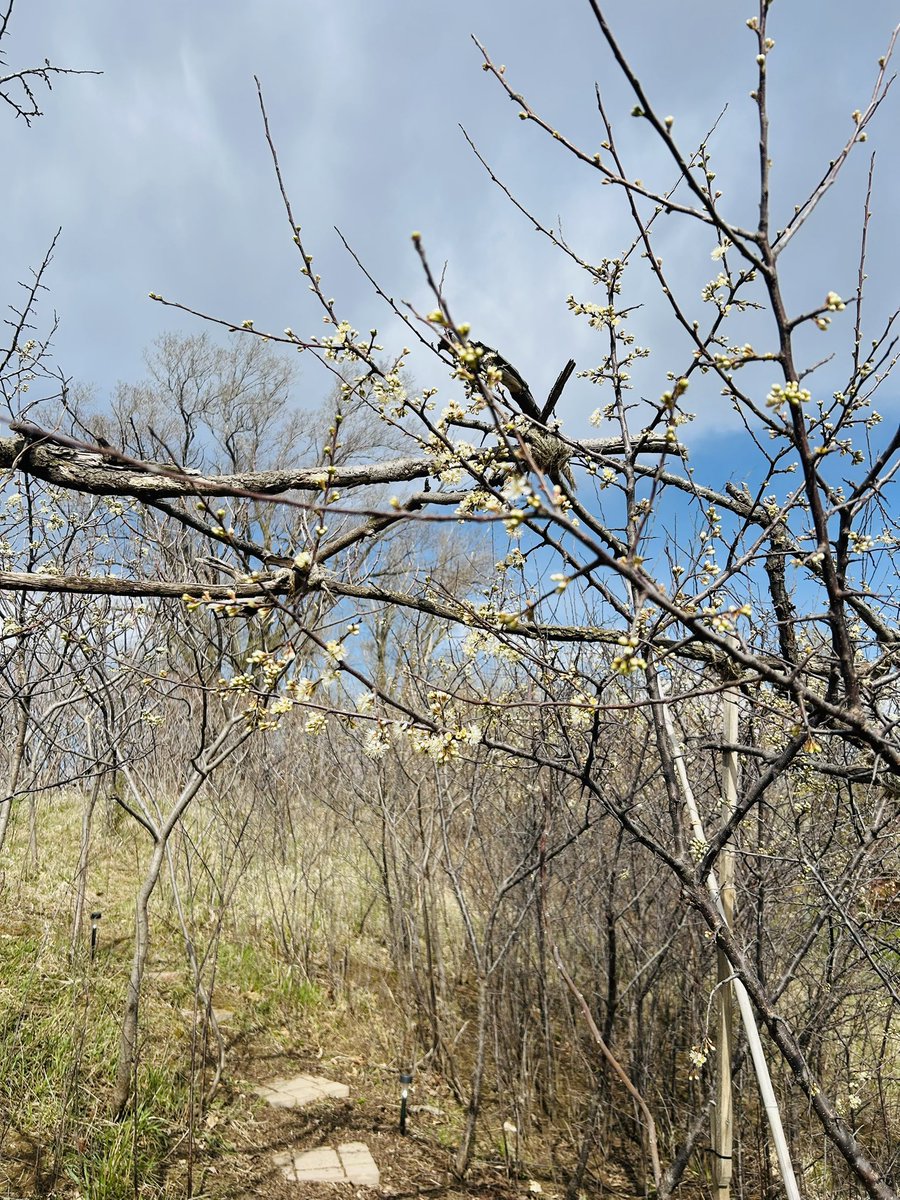 Stacy Popish tweet media