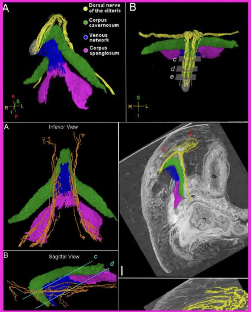 ꙮ iami ꩜ tweet media