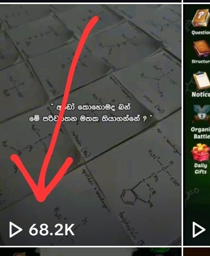 I5uru🐢 tweet media